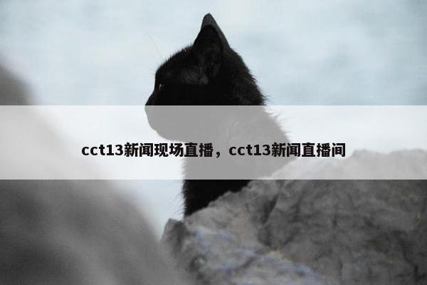 cct13新闻现场直播，cct13新闻直播间