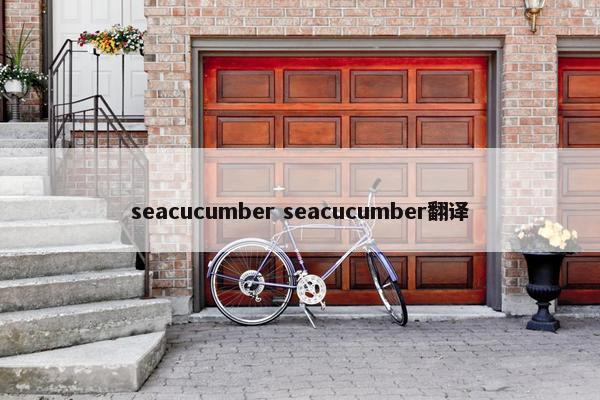 seacucumber seacucumber翻译