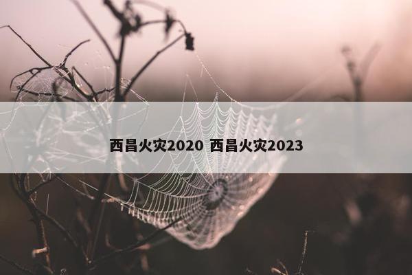 西昌火灾2020 西昌火灾2023