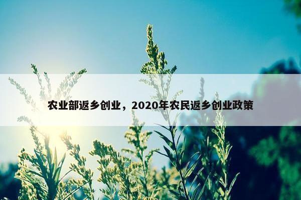 农业部返乡创业，2020年农民返乡创业政策