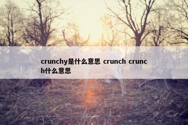 crunchy是什么意思 crunch crunch什么意思