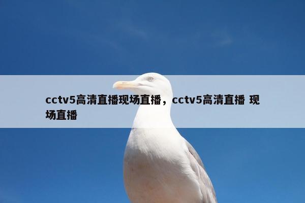 cctv5高清直播现场直播，cctv5高清直播 现场直播