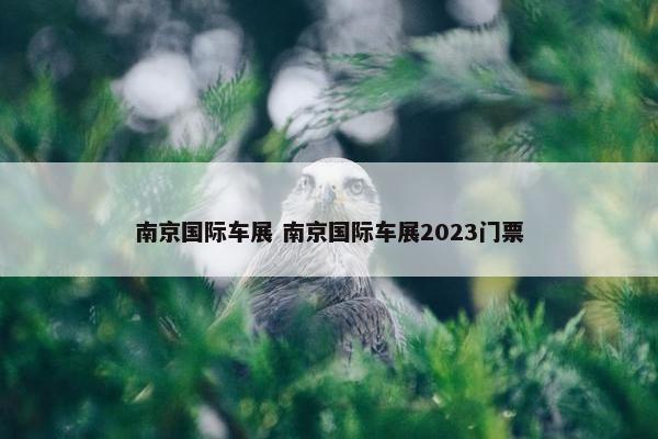 南京国际车展 南京国际车展2023门票