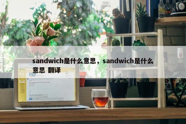 sandwich是什么意思，sandwich是什么意思 翻译