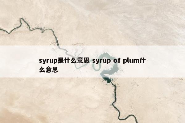 syrup是什么意思 syrup of plum什么意思