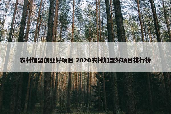 农村加盟创业好项目 2020农村加盟好项目排行榜