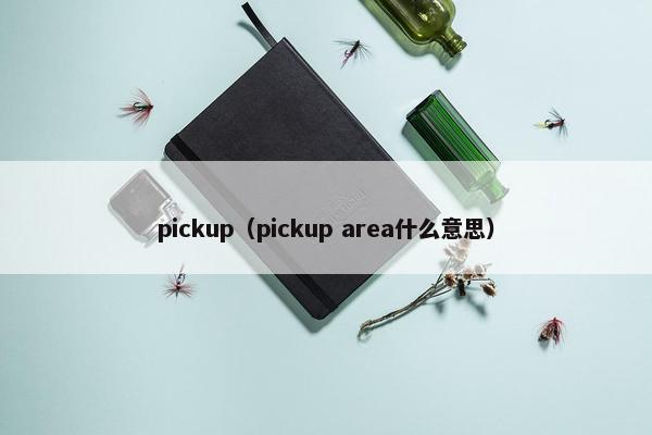 pickup（pickup area什么意思）