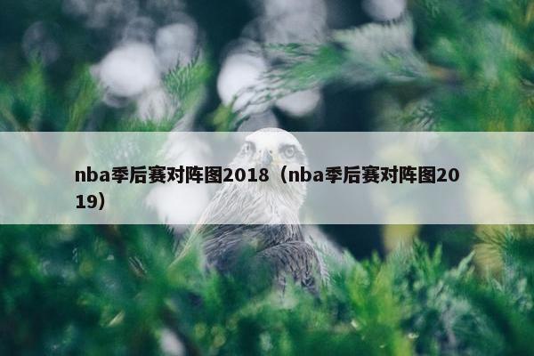 nba季后赛对阵图2018（nba季后赛对阵图2019）
