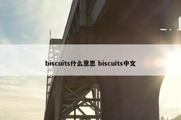 biscuits什么意思 biscuits中文