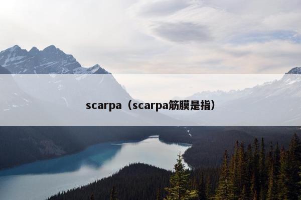 scarpa（scarpa筋膜是指）