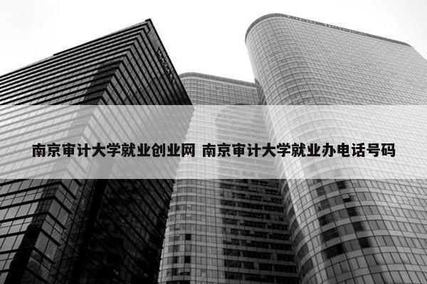 南京审计大学就业创业网 南京审计大学就业办电话号码