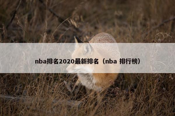 nba排名2020最新排名（nba 排行榜）