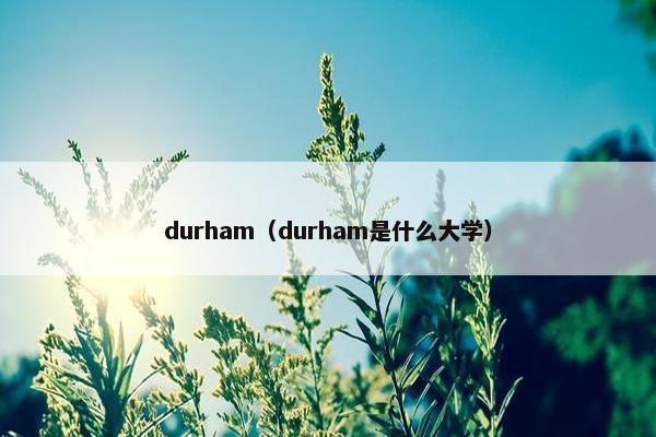 durham（durham是什么大学）