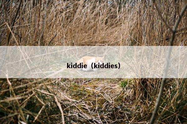 kiddie（kiddies）
