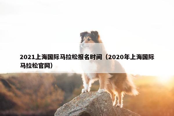2021上海国际马拉松报名时间（2020年上海国际马拉松官网）
