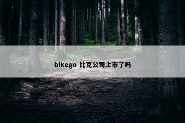 bikego 比克公司上市了吗