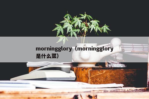 morningglory（morningglory是什么菜）