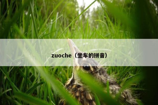 zuoche（坐车的拼音）