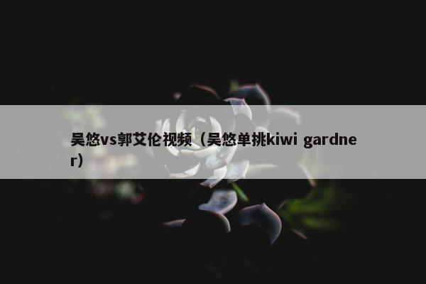 吴悠vs郭艾伦视频（吴悠单挑kiwi gardner）