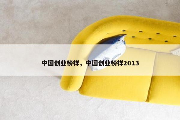 中国创业榜样，中国创业榜样2013