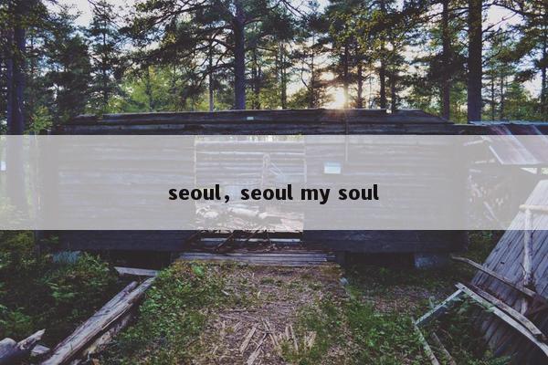 seoul，seoul my soul