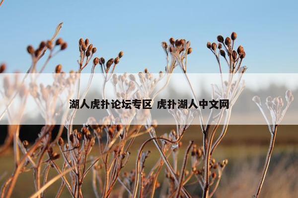 湖人虎扑论坛专区 虎扑湖人中文网